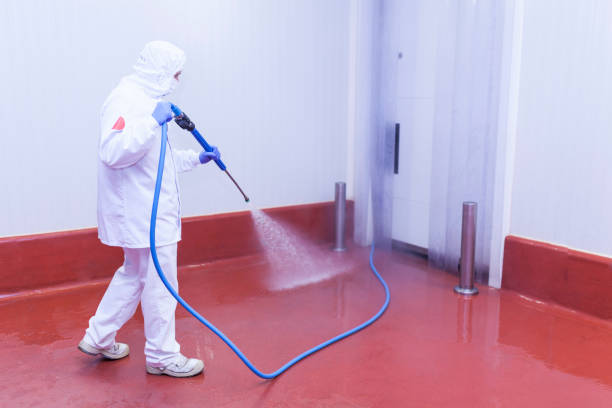 Boat and Dock Cleaning in Keizer, OR